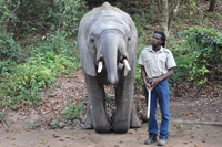Elephant Sanctuary