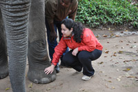 Elephant Sanctuary