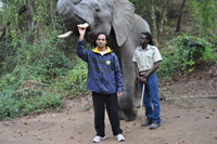 Elephant Sanctuary
