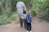 Elephant Sanctuary