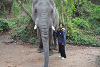 Elephant Sanctuary