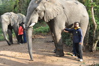 Elephant Sanctuary