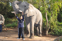 Elephant Sanctuary