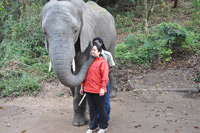 Elephant Sanctuary