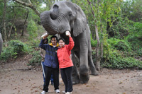 Elephant Sanctuary