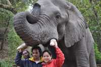Elephant Sanctuary