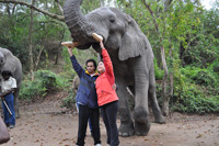 Elephant Sanctuary