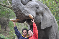 Elephant Sanctuary