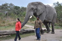 Elephant Sanctuary
