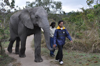 Elephant Sanctuary