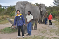 Elephant Sanctuary