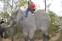 Elephant Sanctuary