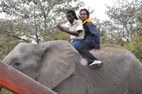 Elephant Sanctuary