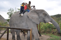 Elephant Sanctuary