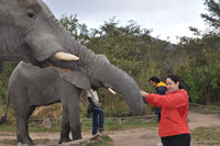 Elephant Sanctuary