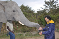 Elephant Sanctuary