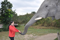Elephant Sanctuary