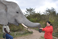 Elephant Sanctuary