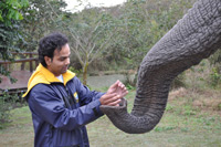 Elephant Sanctuary