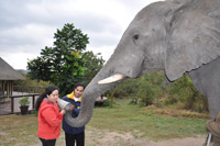 Elephant Sanctuary