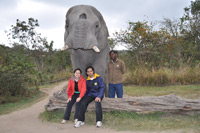 Elephant Sanctuary