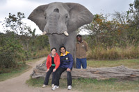 Elephant Sanctuary
