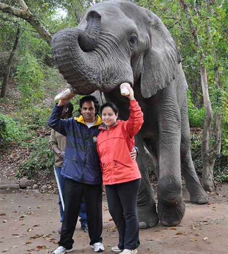 Elephant Sanctuary - Shubhayan Mukherjee