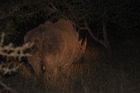 Kruger National Park