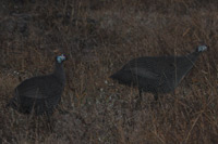 Kruger National Park