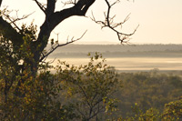 Kruger National Park