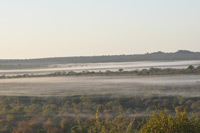 Kruger National Park