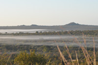 Kruger National Park