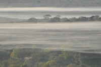 Kruger National Park