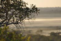 Kruger National Park