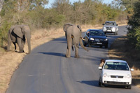 Kruger National Park