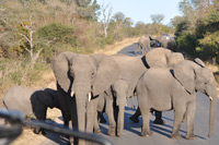 Kruger National Park
