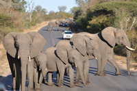 Kruger National Park