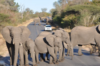 Kruger National Park