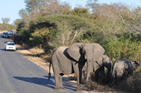 Kruger National Park