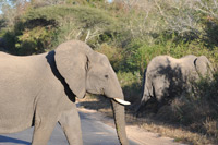 Kruger National Park