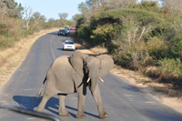 Kruger National Park