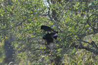 Kruger National Park