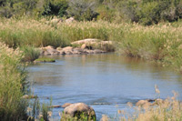 Kruger National Park