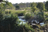 Kruger National Park
