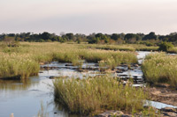 Kruger National Park