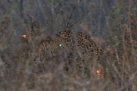 Kruger National Park