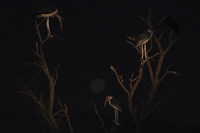 Kruger National Park