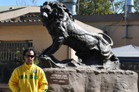 Lion Park