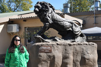 Lion Park