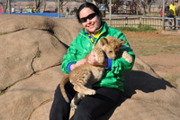 Lion Park